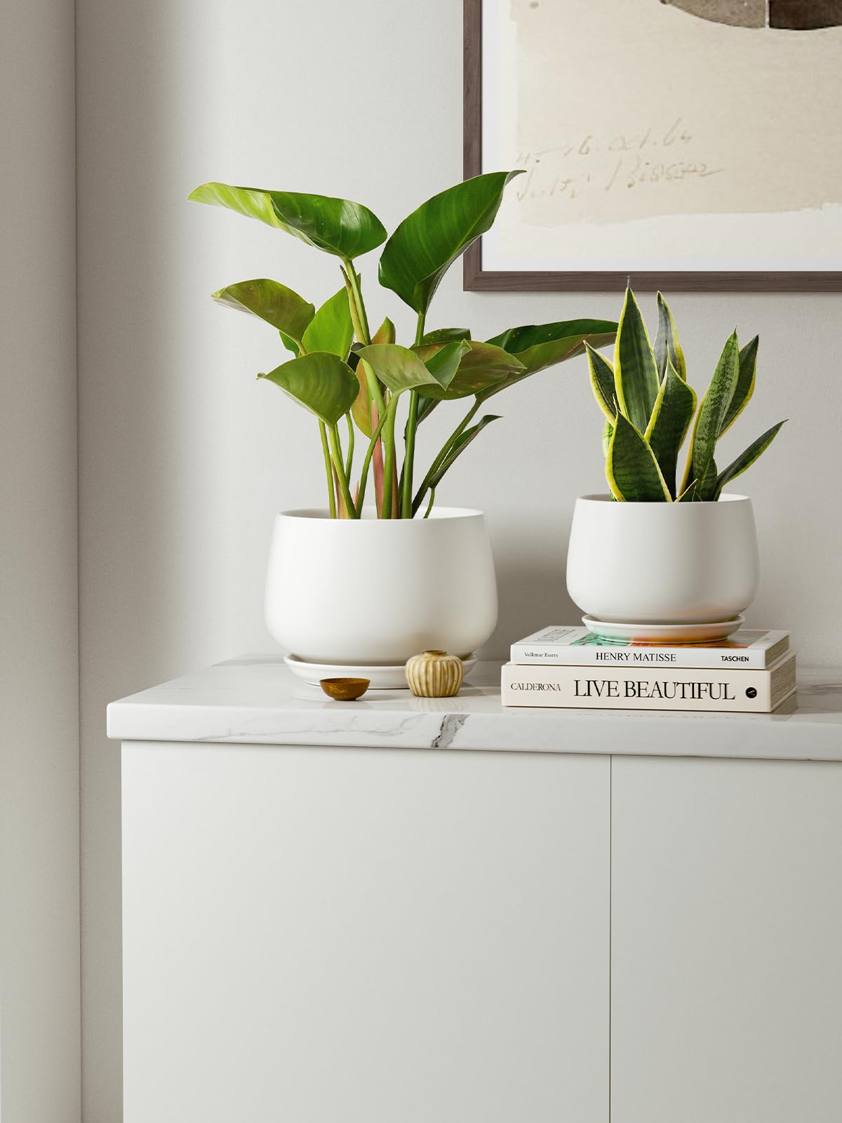LE TAUCI ceramic pot 4-inch saucer attached closeup shows spill-free watering