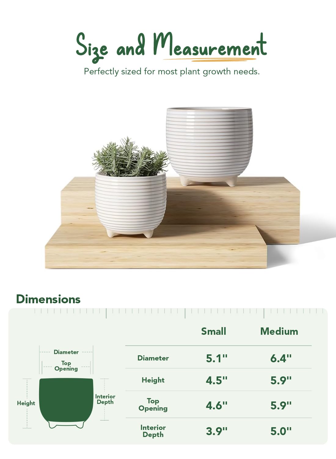 LE TAUCI ceramic pot 5.1-inch diameter ideal for small succulents.