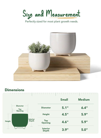 LE TAUCI ceramic pot 5.1-inch diameter ideal for small succulents.