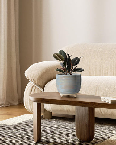 LE TAUCI ceramic pot 5.1 inch diameter designed for small succulents and herbs