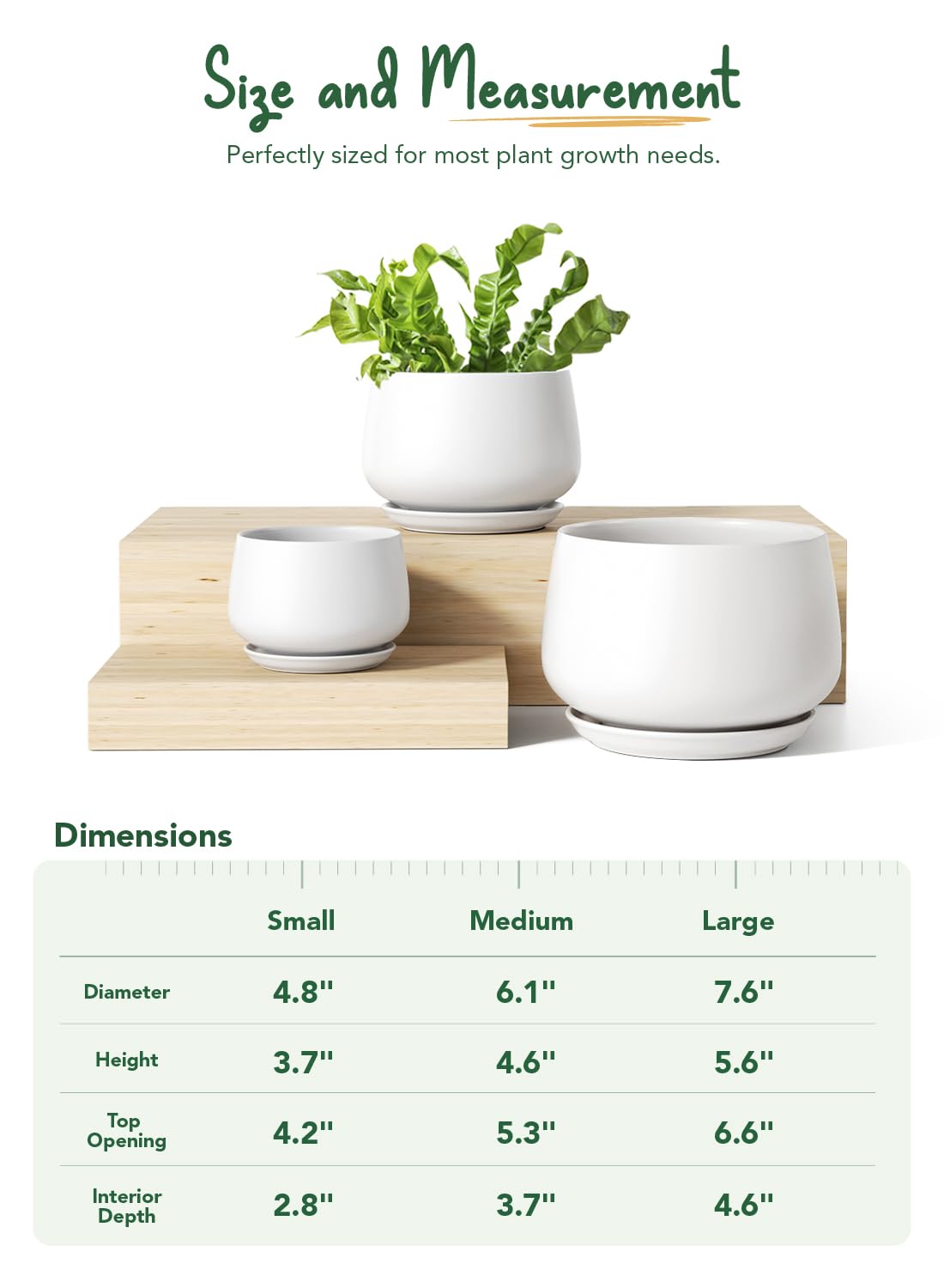 LE TAUCI ceramic pot 5-inch drainage hole closeup emphasizes moisture management