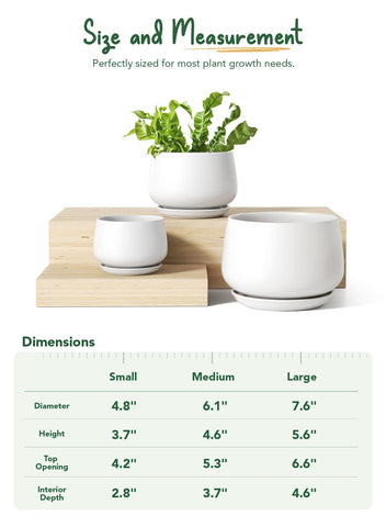 LE TAUCI ceramic pot 5-inch drainage hole closeup emphasizes moisture management