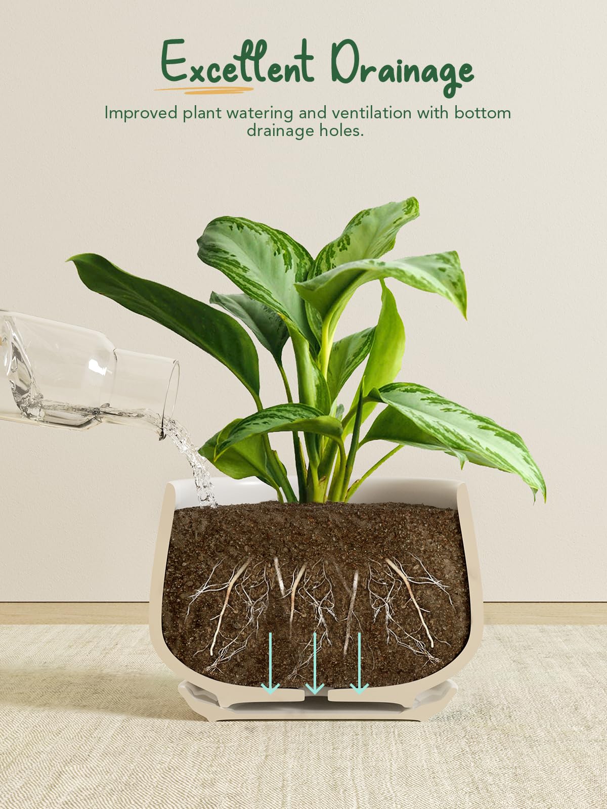 LE TAUCI ceramic pot 5-inch front view for mid-size houseplants and herbs
