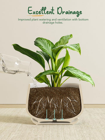 LE TAUCI ceramic pot 5-inch front view for mid-size houseplants and herbs