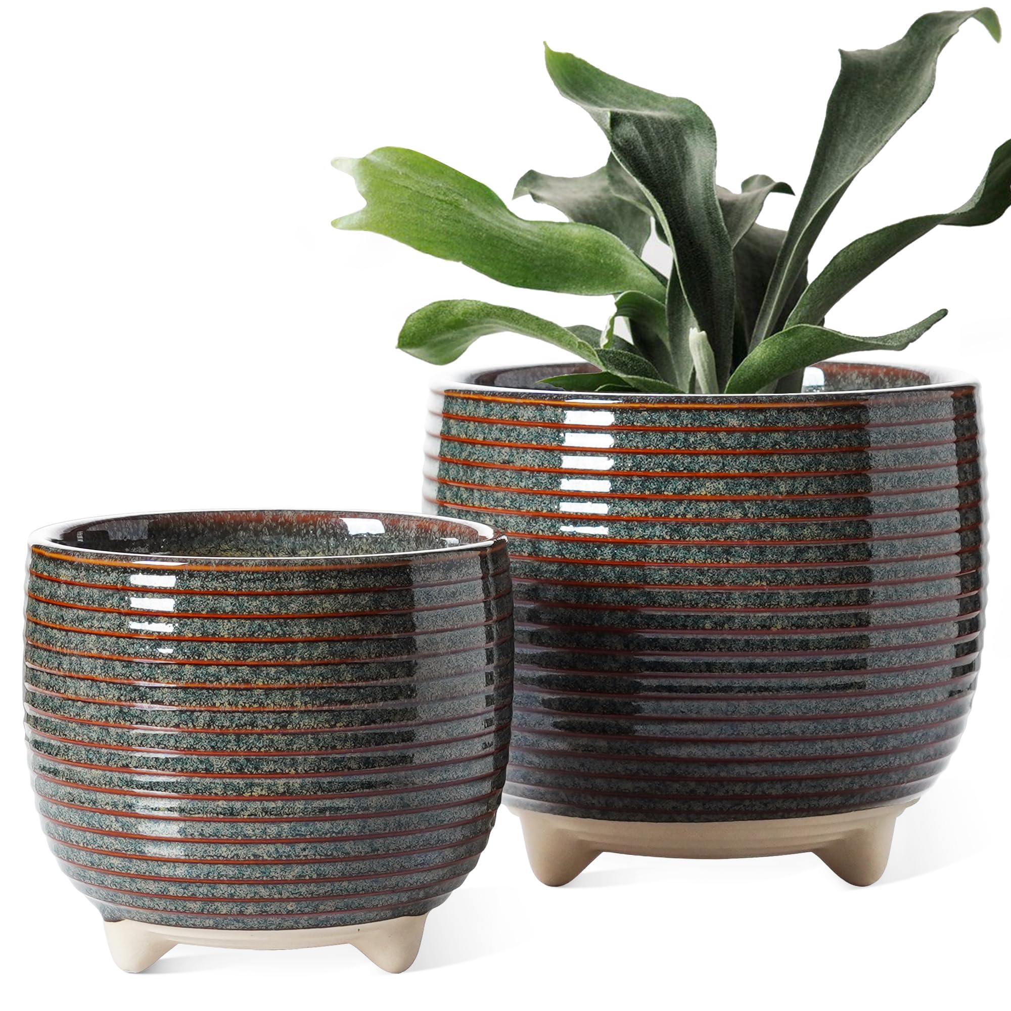 LE TAUCI ceramic pot 6.4-inch in black glaze for stylish indoor greenery.