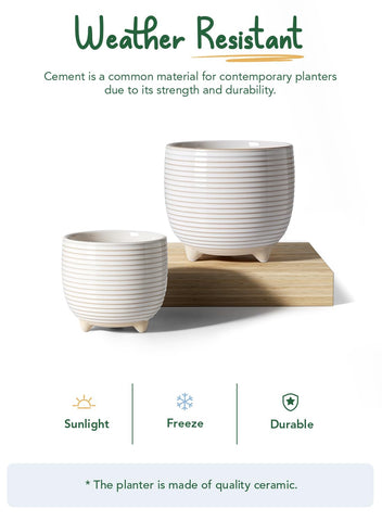 LE TAUCI ceramic pot 6.4-inch diameter supports larger indoor plants.