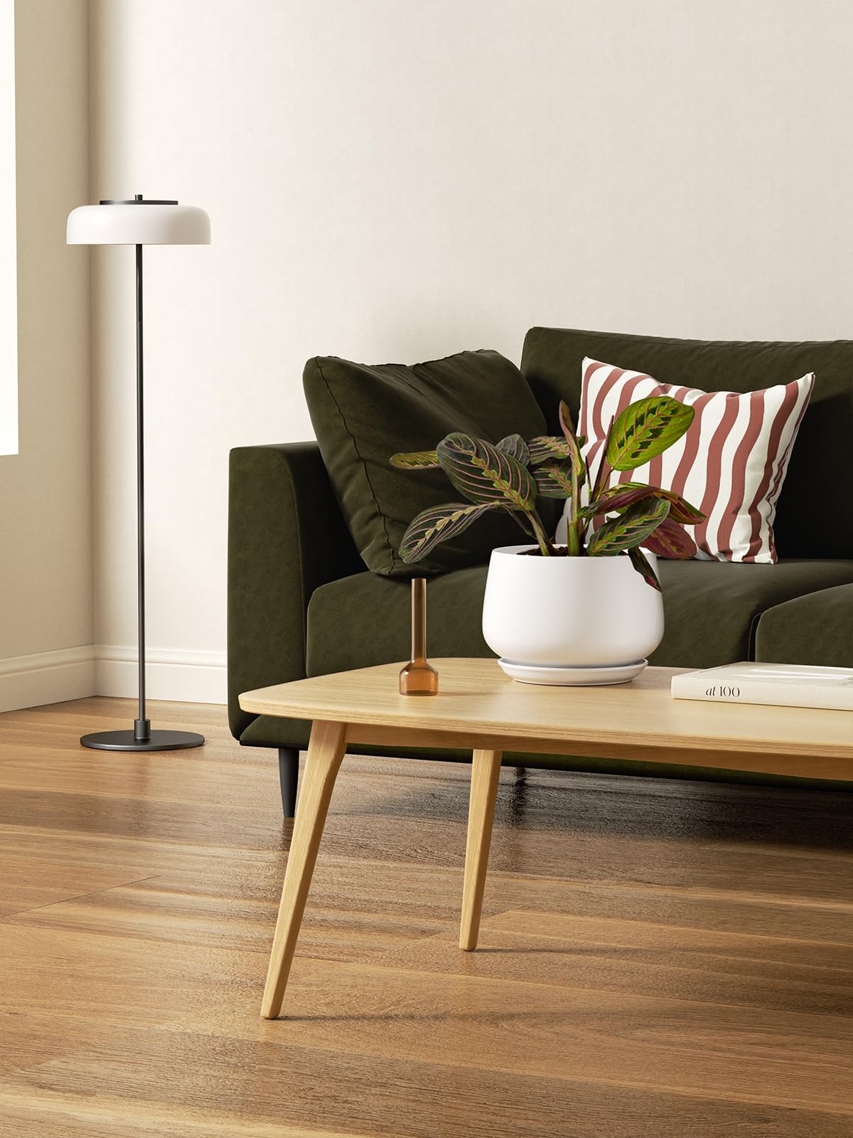 LE TAUCI ceramic pot 6.5-inch side view shows curved modern design for living spaces