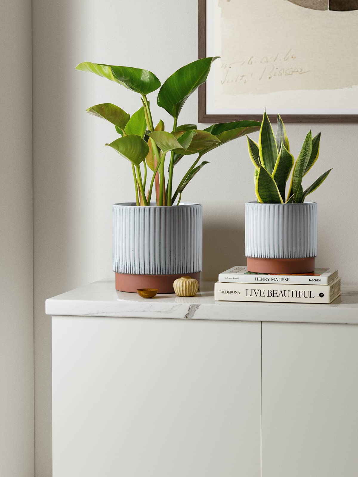 LE TAUCI 6.7 inch ceramic pot ideal for snake plants and herbs