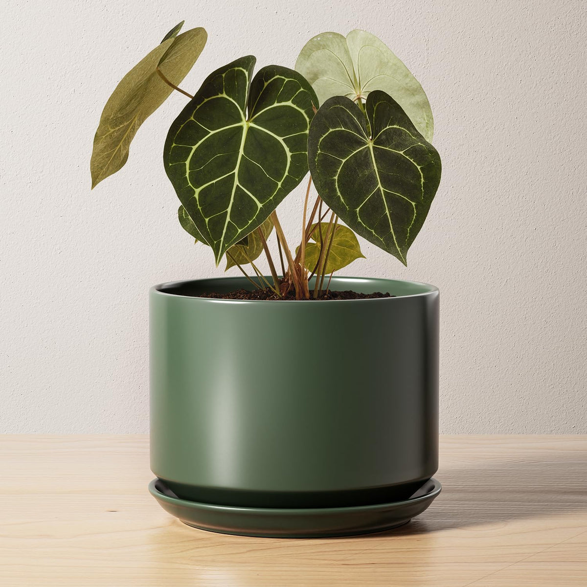 LE TAUCI ceramic pot 6.8-inch on a desk keeps plants tidy and accessible.