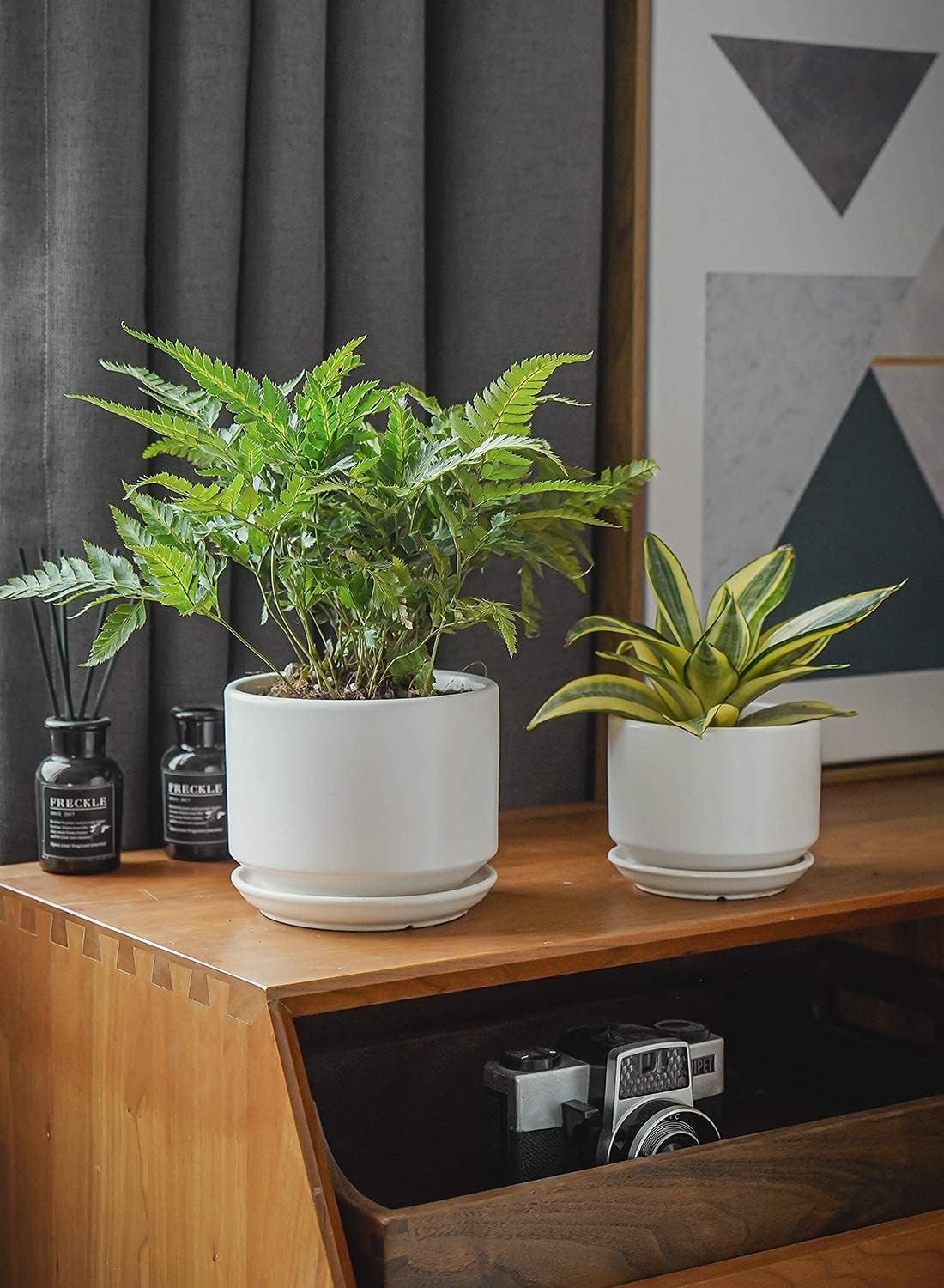 LE TAUCI indoor planter crafted from high-fired ceramic for durability