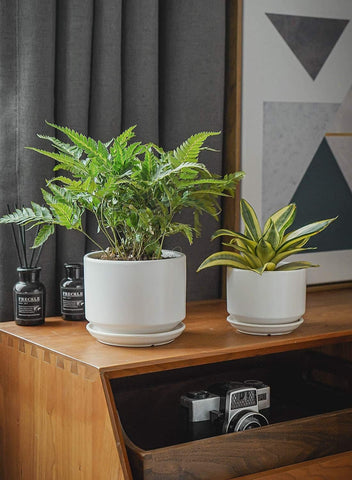 LE TAUCI indoor planter crafted from high-fired ceramic for durability