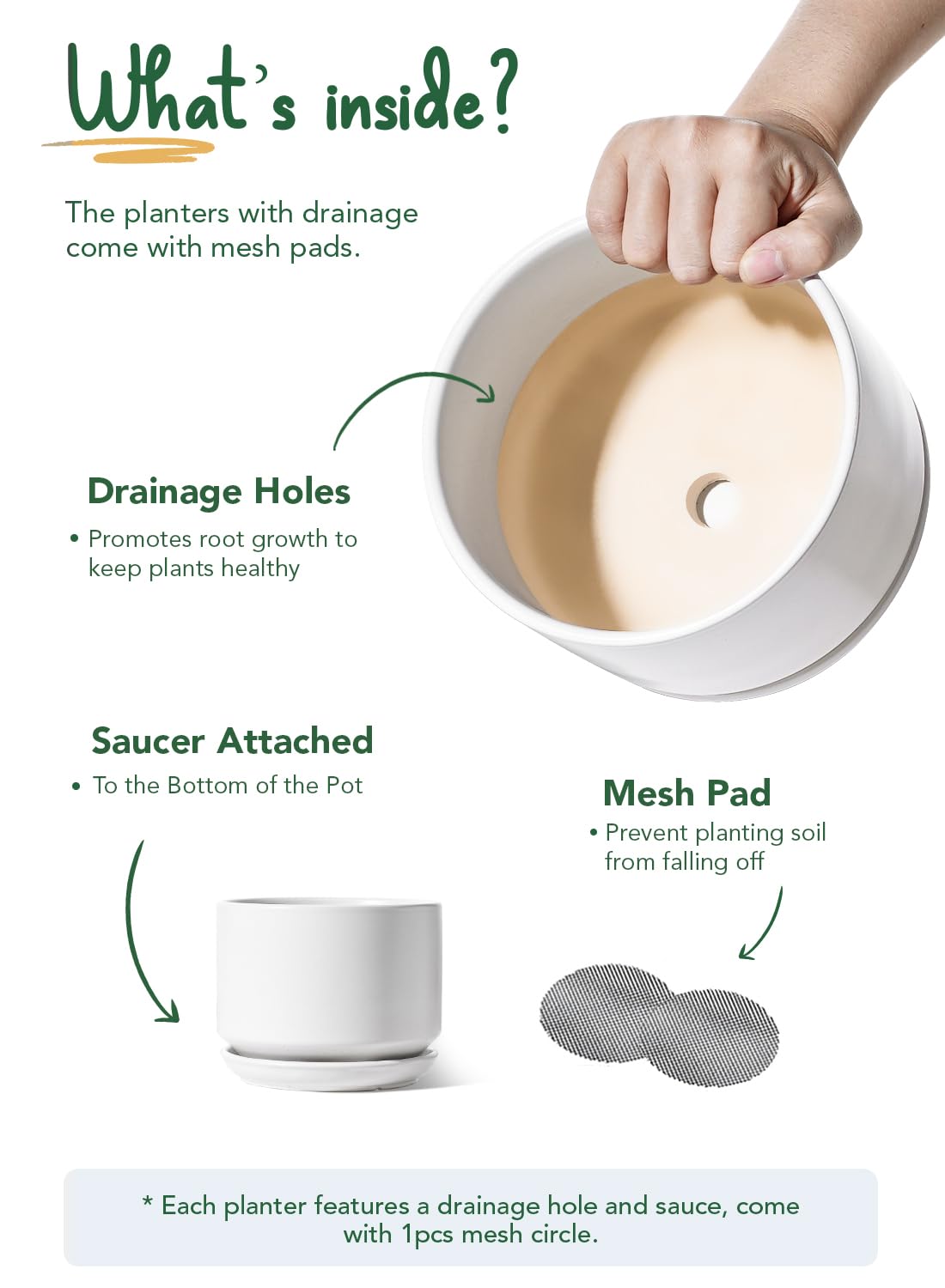 Durable LE TAUCI ceramic pot with sturdy base for stable placement