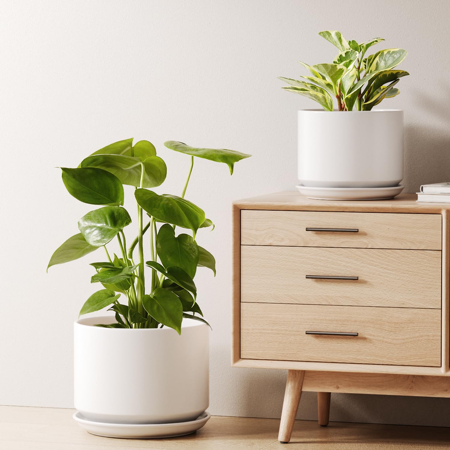 LE TAUCI ceramic pot 8in white, ideal for compact desk greenery