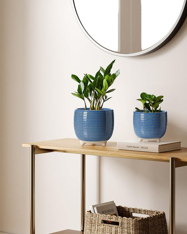 LE TAUCI ceramic pot accessories include silicone plug and drainage net for moisture control.