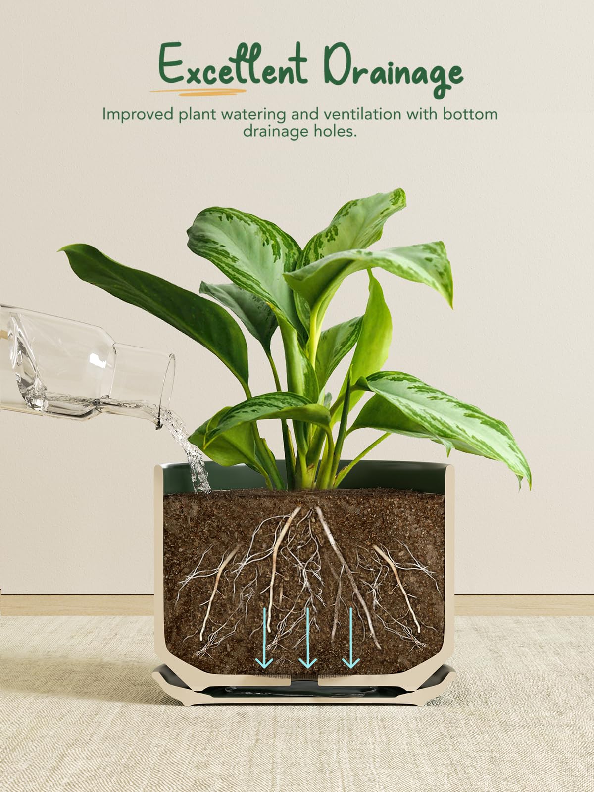 LE TAUCI drainage-hole pot with mesh for healthier roots and moisture control.