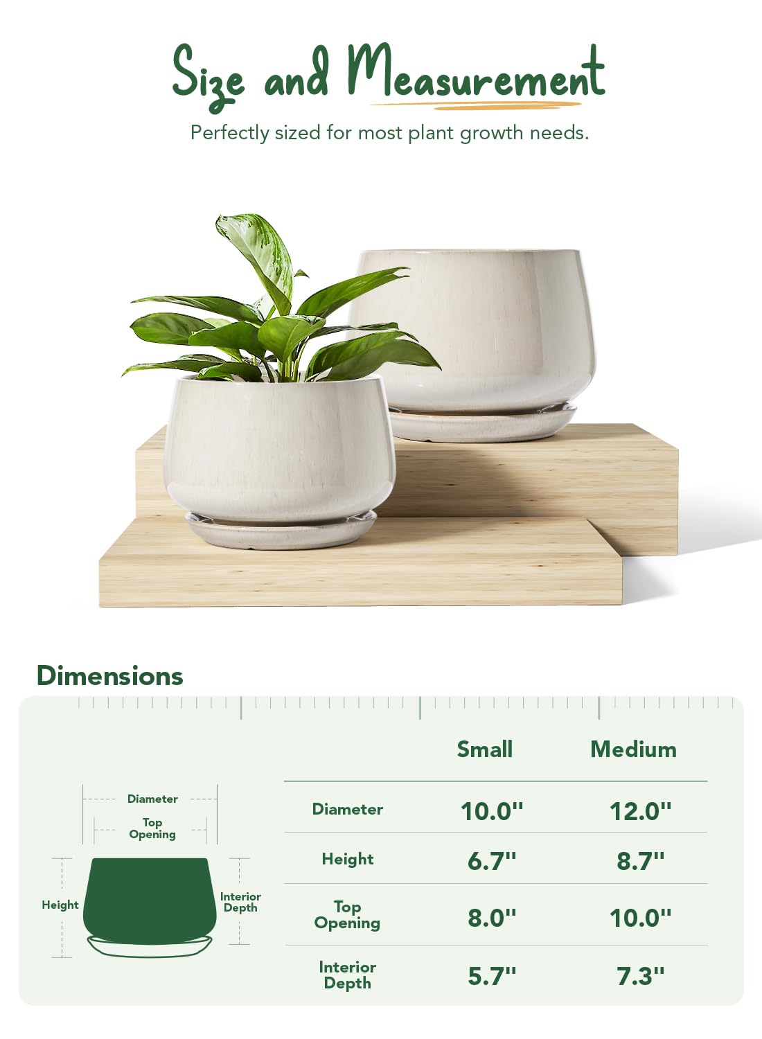 LE TAUCI ceramic pot showing drainage hole and matching saucer for tidy surfaces.