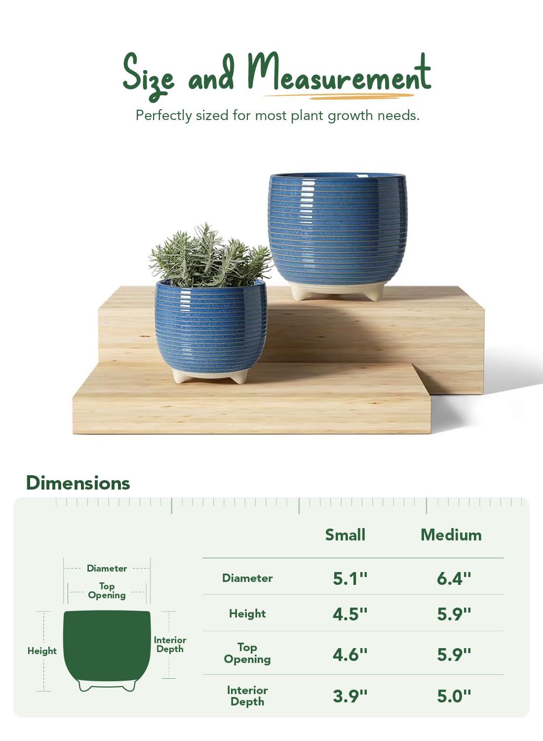 LE TAUCI indoor plant pot fits home or office decor elegantly.