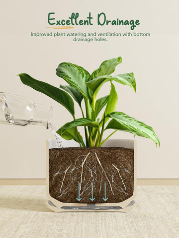 LE TAUCI pot shows integrated mesh drainage and silicone pad.