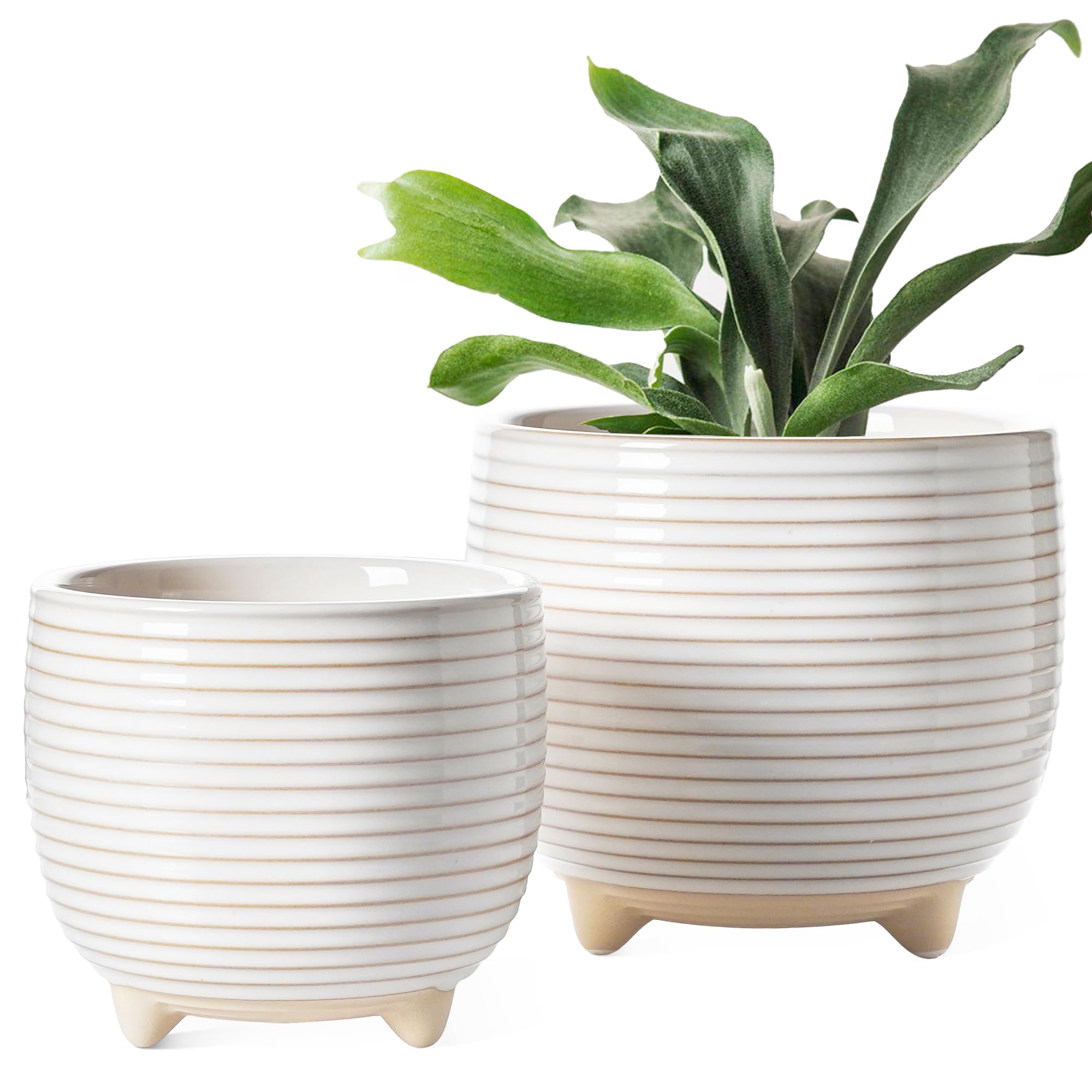 LE TAUCI ceramic pot large white front view enhances indoor greenery.