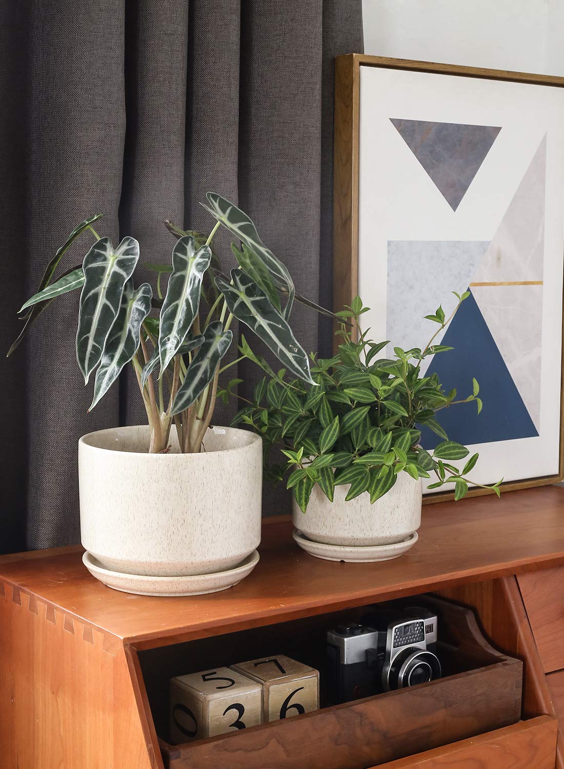 LE TAUCI medium ceramic plant pot with drainage is perfect for mid size greenery.