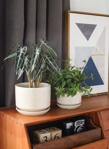 LE TAUCI medium ceramic plant pot with drainage is perfect for mid size greenery.