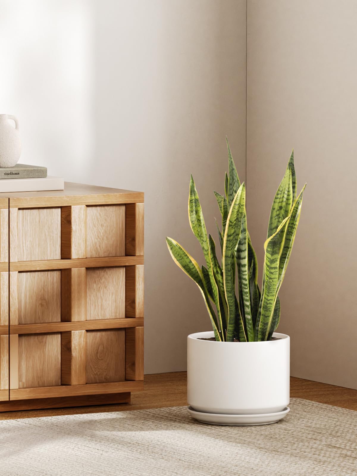 LE TAUCI ceramic pot with mesh screen preventing soil leakage for clean surfaces