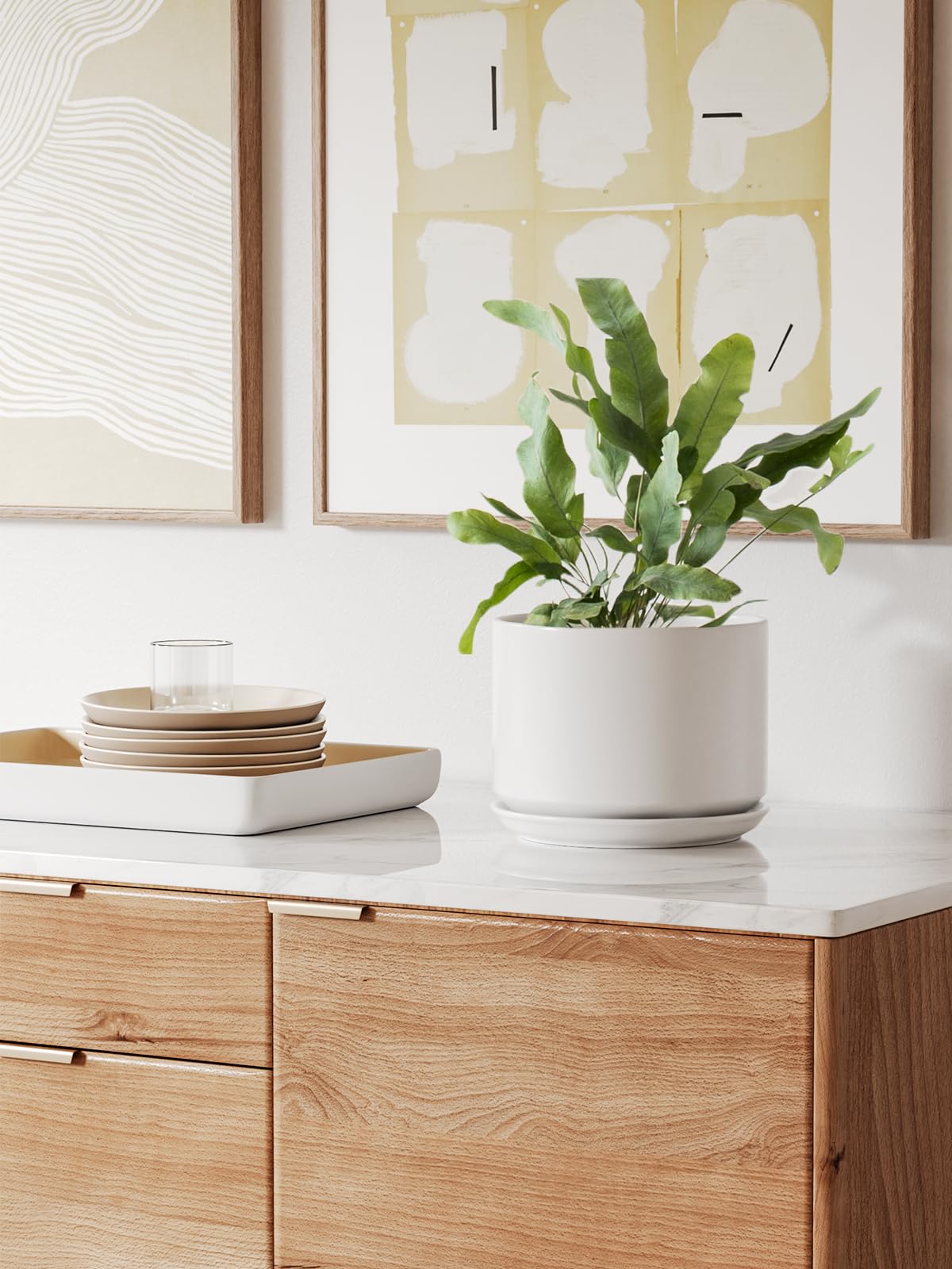 Snake plant shown in LE TAUCI pot supports root space