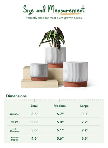 LE TAUCI removable silicone plug for indoor use and moisture control