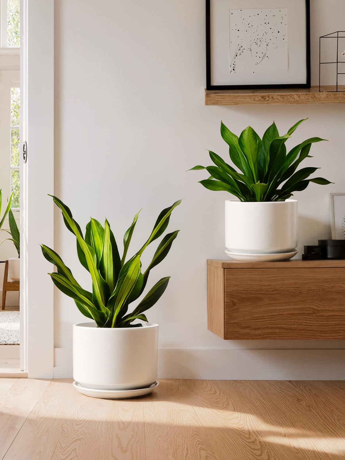 LE TAUCI two-pot set elevates window sills and desks.