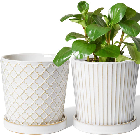 LE TAUCI ceramic pot front view with white glaze for elegant plant display.