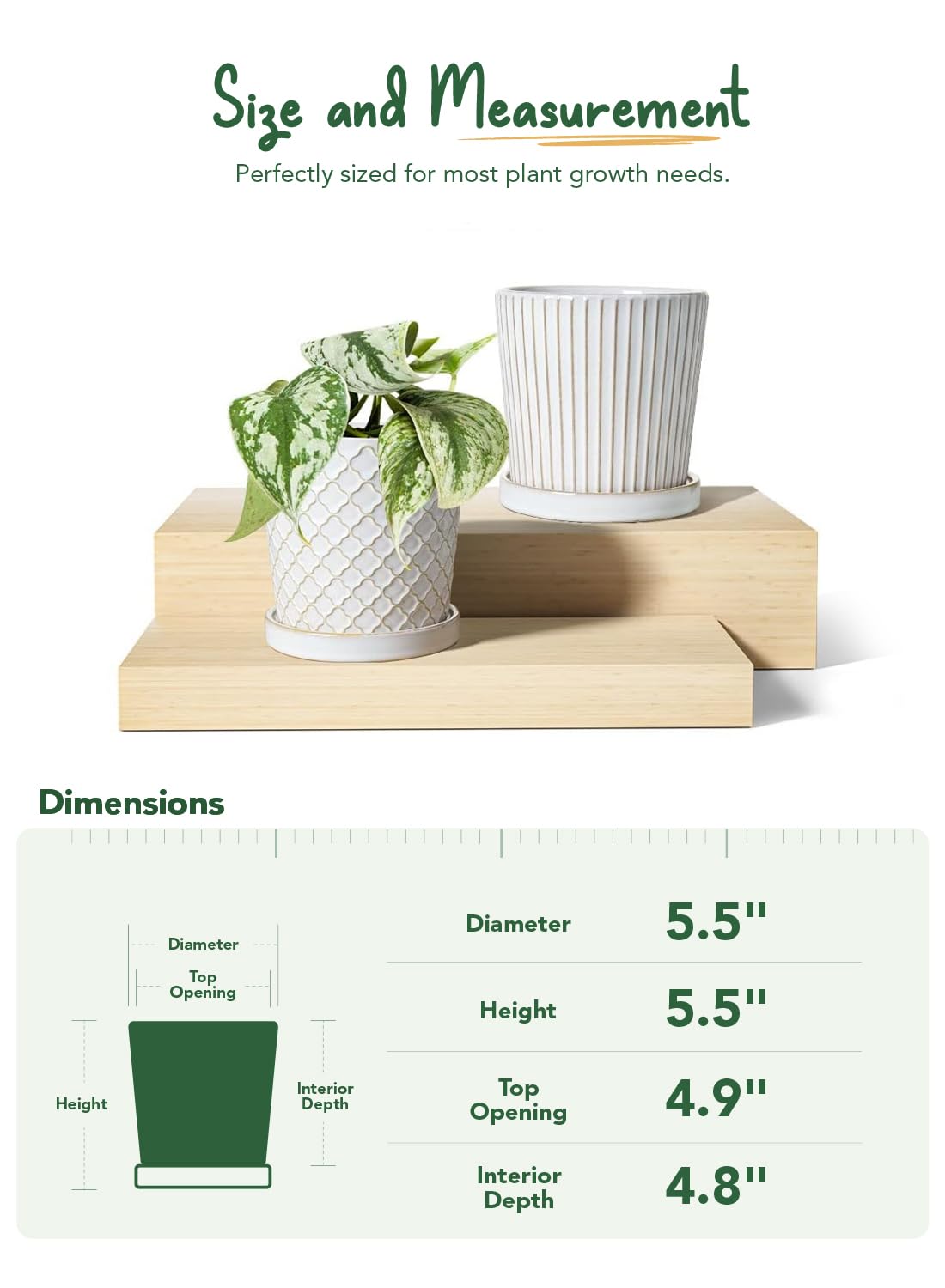 LE TAUCI pot with planted snake plant demonstrates size suitability.
