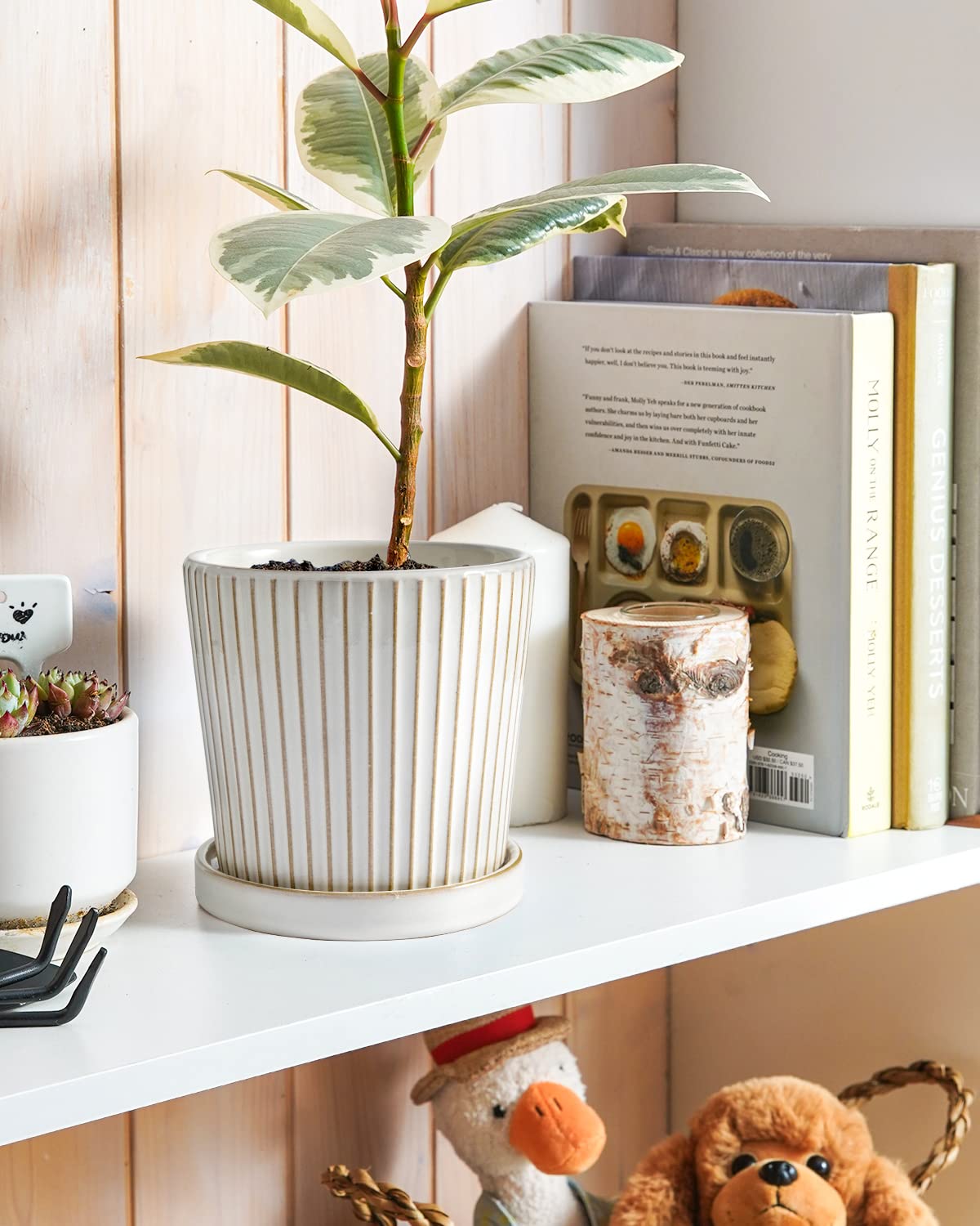 LE TAUCI ceramic pot saucer included keeps surfaces clean.