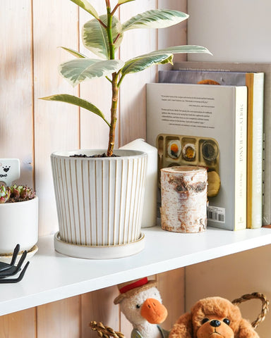 LE TAUCI ceramic pot saucer included keeps surfaces clean.