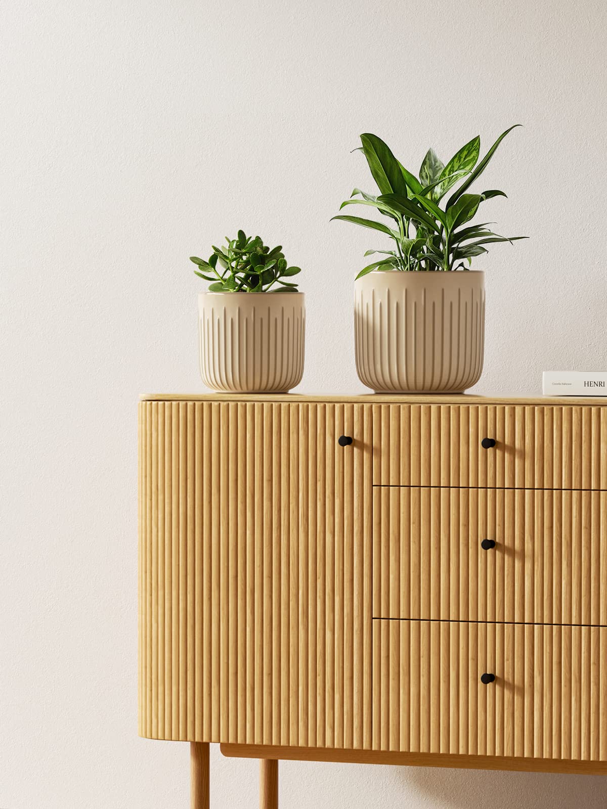 LE TAUCI 5.7-inch ceramic pot perfect for herbs and succulents