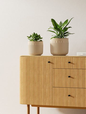 LE TAUCI 5.7-inch ceramic pot perfect for herbs and succulents