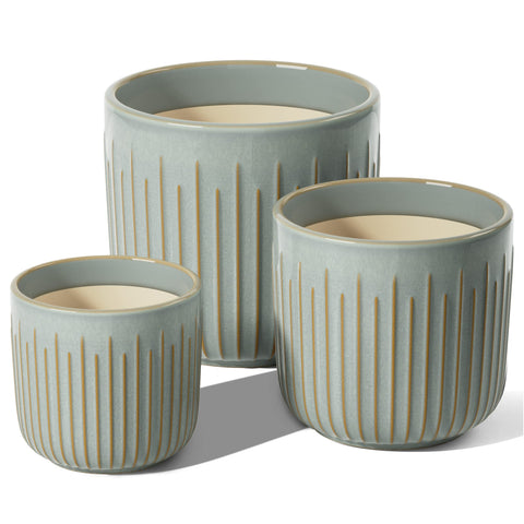 LE TAUCI gift-ready box highlights ready-to-grow indoor planters