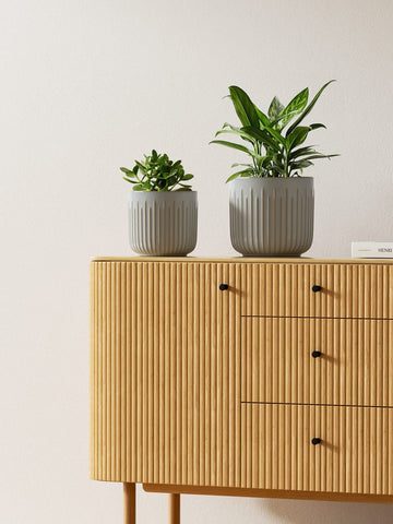 LE TAUCI 5.7-inch pot ideal for herbs and compact plants