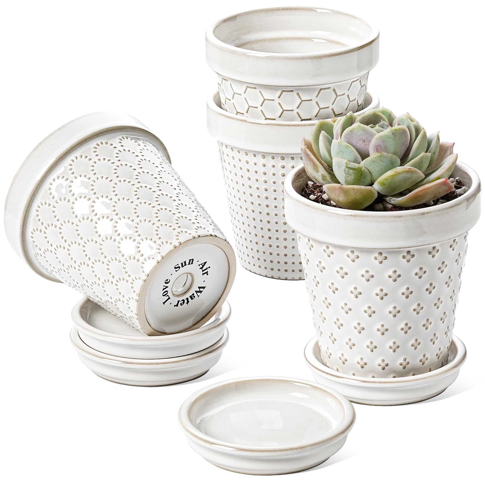 LE TAUCI embossed ceramic succulent pots with floral embossing for indoor display