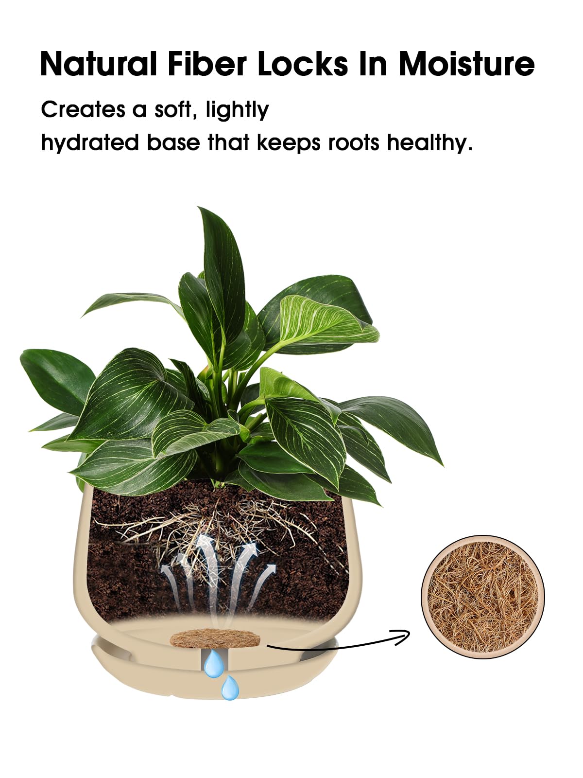 LE TAUCI coir pad used in bonsai mesh setup for controlled soil containment.