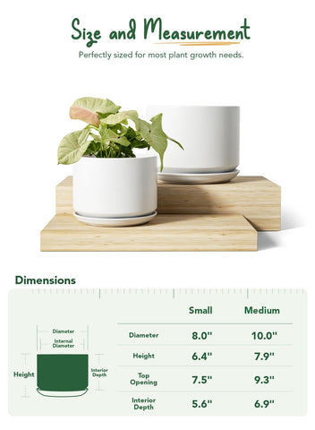 LE TAUCI drainage hole design supports healthy roots while keeping surfaces clean