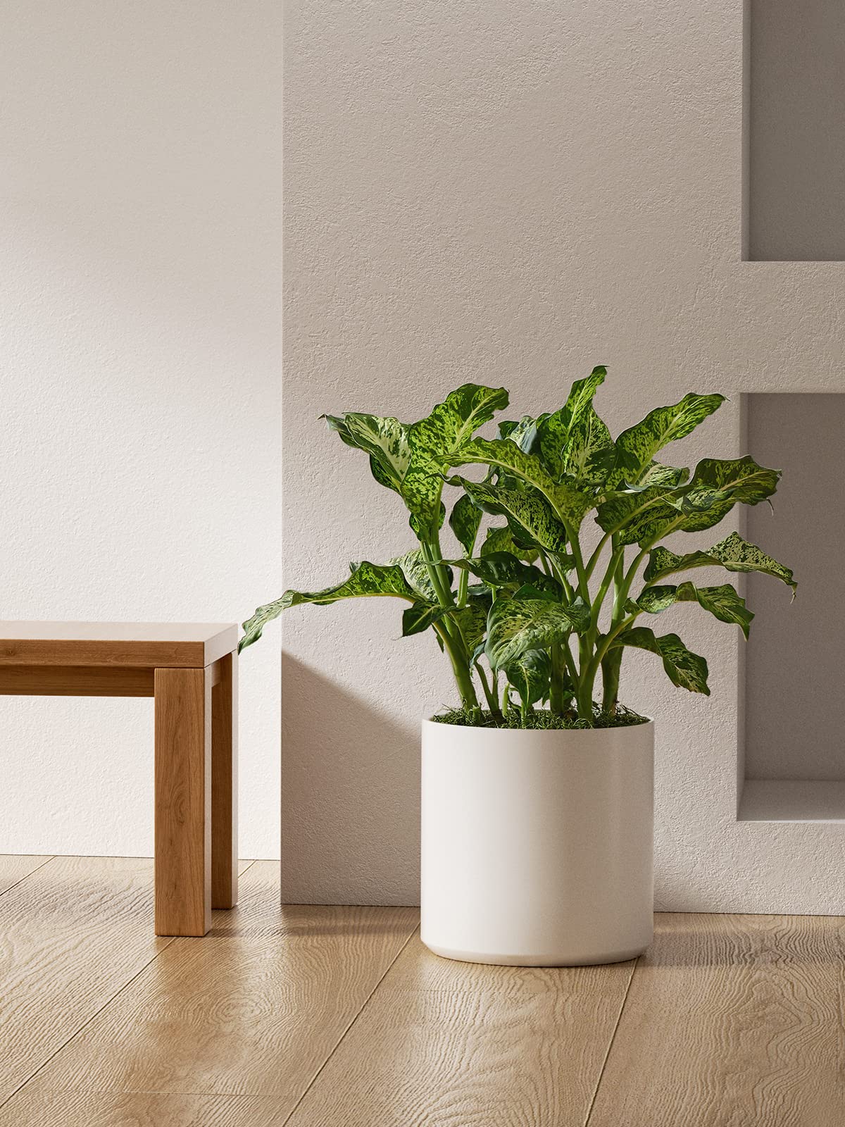 LE TAUCI wipe-clean glaze resists scuffs and splashes.
