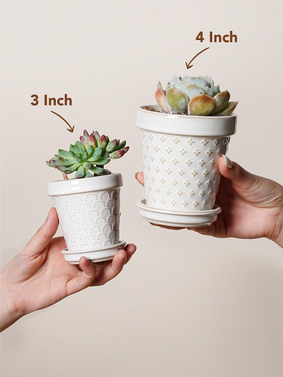 LE TAUCI embossed ceramic pot collection adds texture and charm