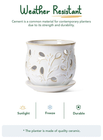 LE TAUCI farmhouse-style glazed orchid pot for indoor display.