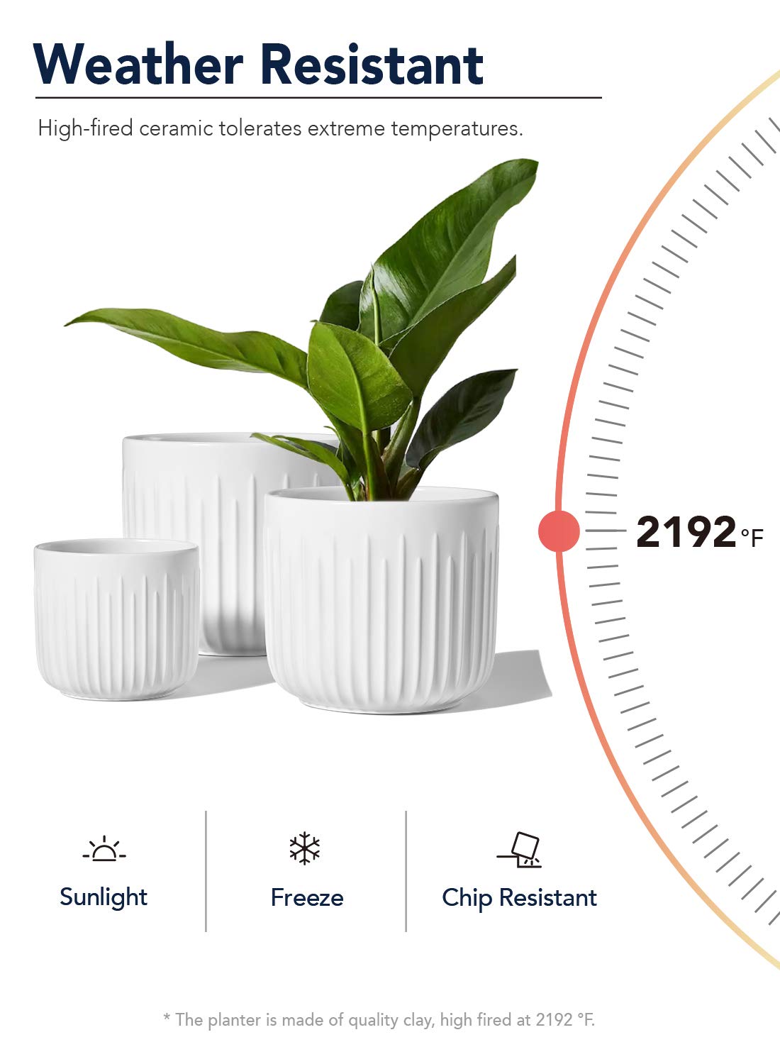 LE TAUCI compact planter on a desk showing versatile décor use.