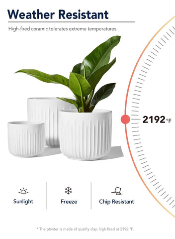 LE TAUCI compact planter on a desk showing versatile décor use.