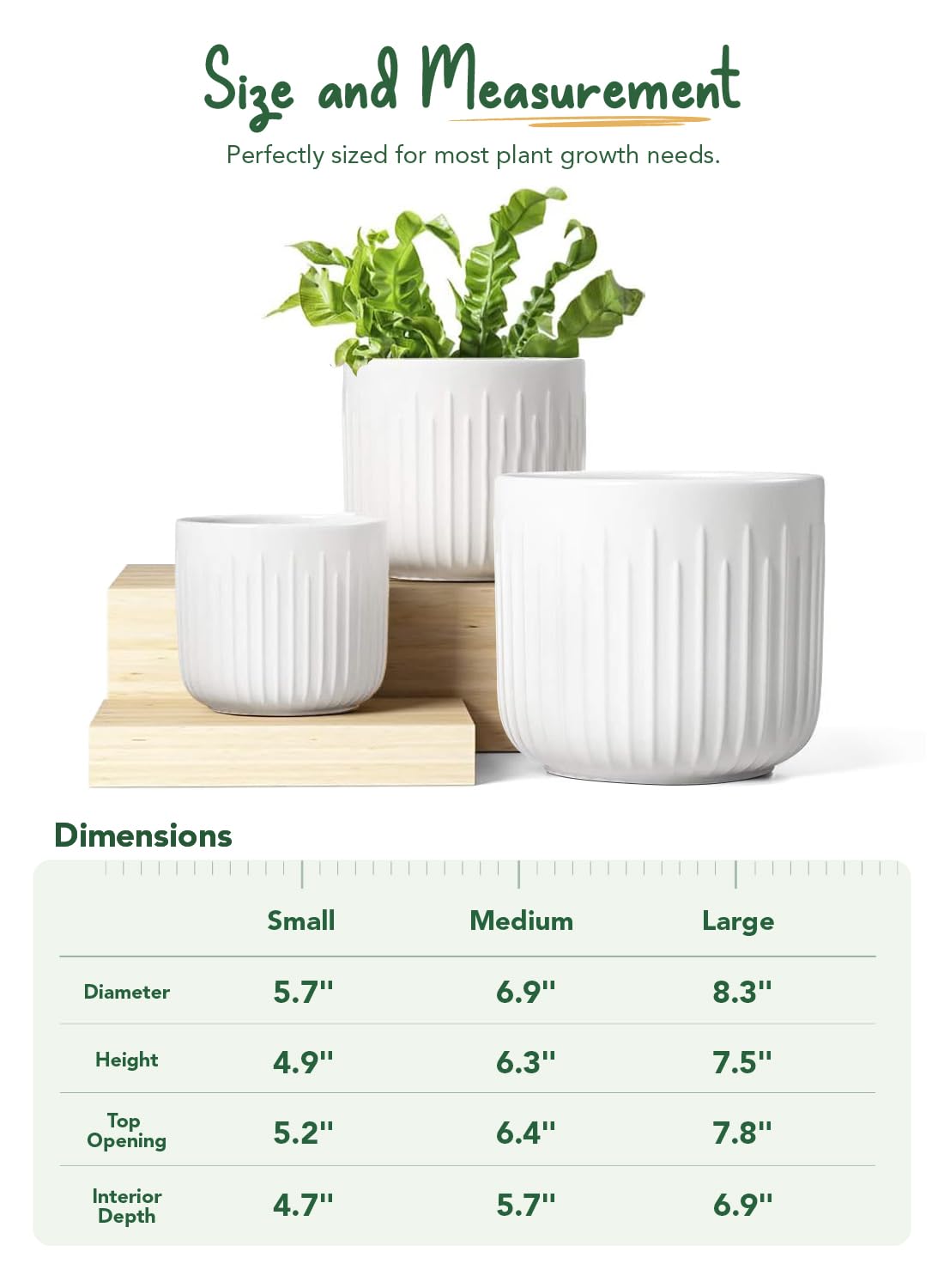 LE TAUCI mesh pad protects soil and improves drainage in the planter.