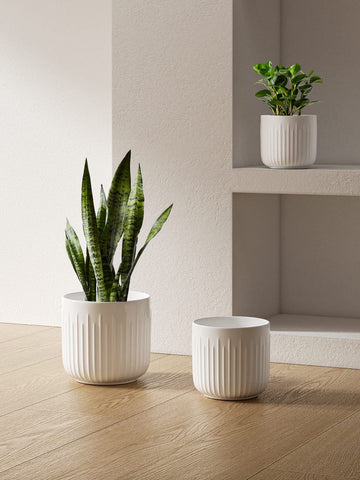 LE TAUCI silicone plug option slows watering for planter care.