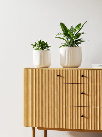LE TAUCI white glaze close-up highlighting the smooth fluted texture.