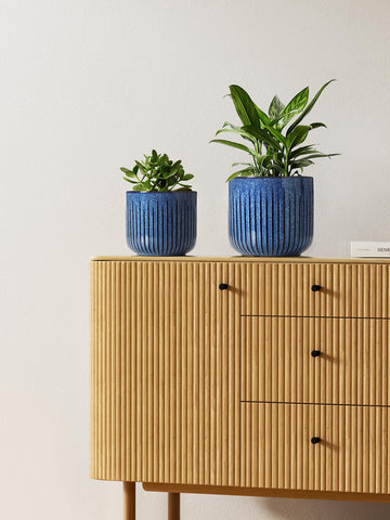 LE TAUCI fluted ceramic pot 5.7-inch fits succulents and herbs on shelves.