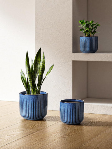 LE TAUCI fluted ceramic pot 7-inch pairs well with midsize greens for cohesive decor.